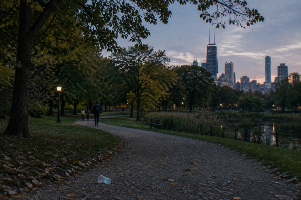 A path through Lincoln Park at dusk with trees and distant city lights
