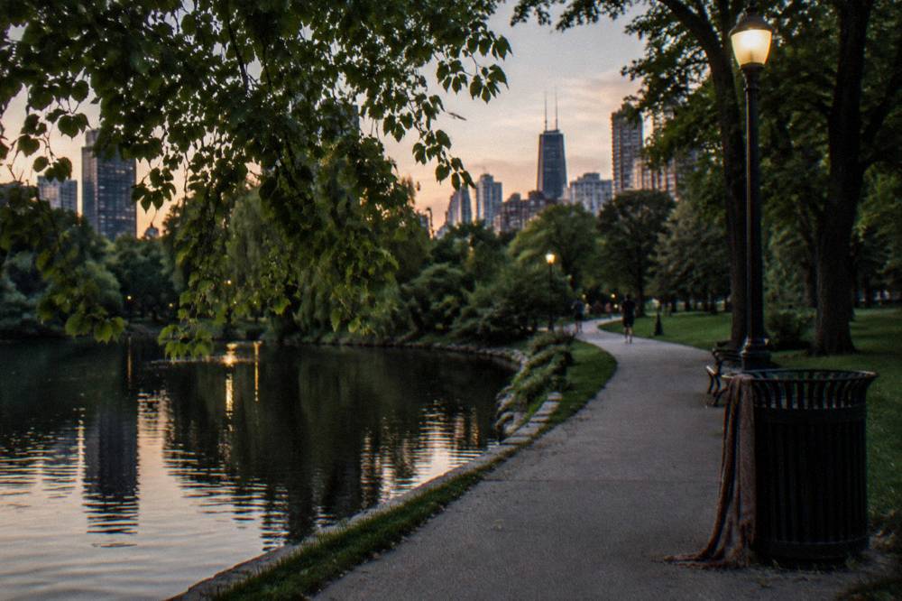 A tree-lined path beside Lincoln Park lagoon at dusk with streetlamps glowing