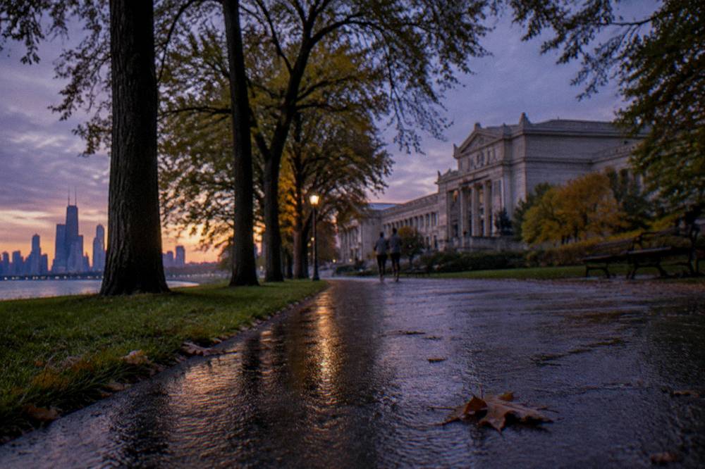 Tree-lined path in Lincoln Park leading toward the Chicago History Museum at dusk